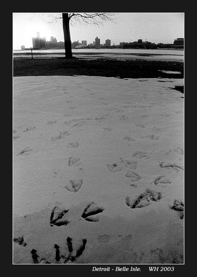 belle_footprints0.jpg